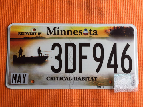 Minnesota targa scaduta - minnesota,