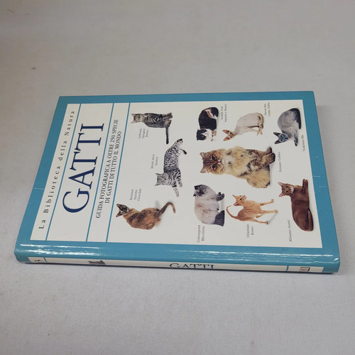 Gatti la biblioteca - gatti,