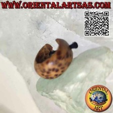 Orecchini a cerchio in legno