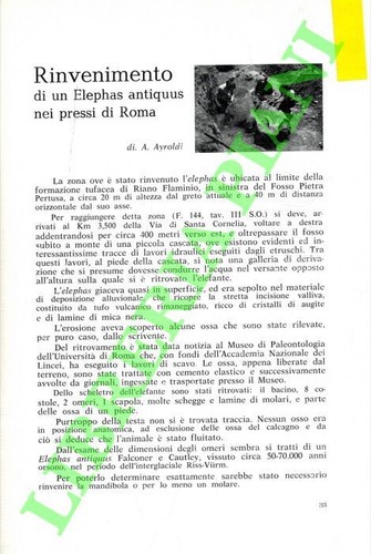 Ayroldi rinvenimento di - -,