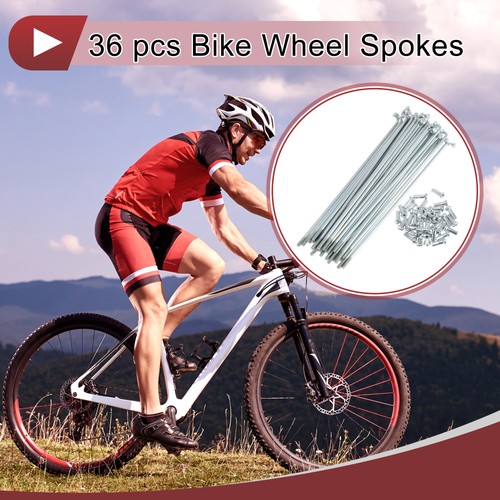Set raggi bici 13g - 36, 130mm
