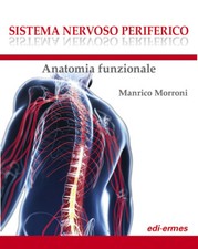 Sistema nervoso periferico