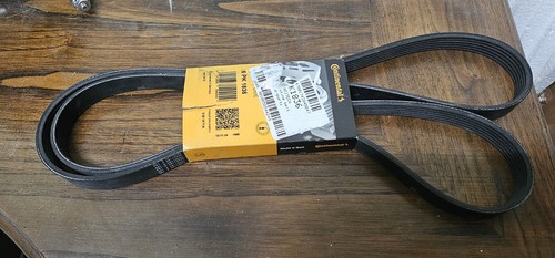 Cinghia servizi polyv - cinghia,