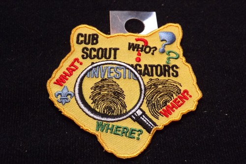 Boy scout cub - cub, activity