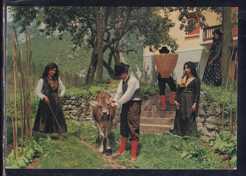 Cartolina costumi carnici - cartolina,
