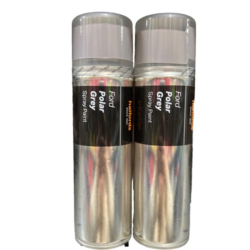 Ford vernice spray grigio - ford,