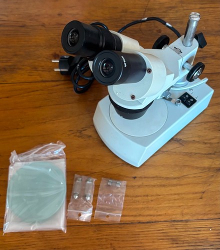 Microscopio stereomicroscopio - microscopio,