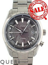 CITIZEN ACT Linea Attesa