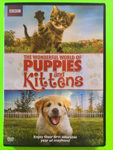 Wonderful world puppies and - of,