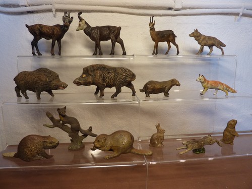 Diversi animali della - diversi,
