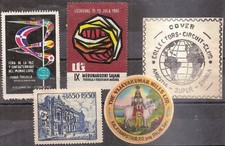 ERINNOFILIA - Lotto 5