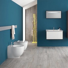 Sanitari filomuro 55x36 cm