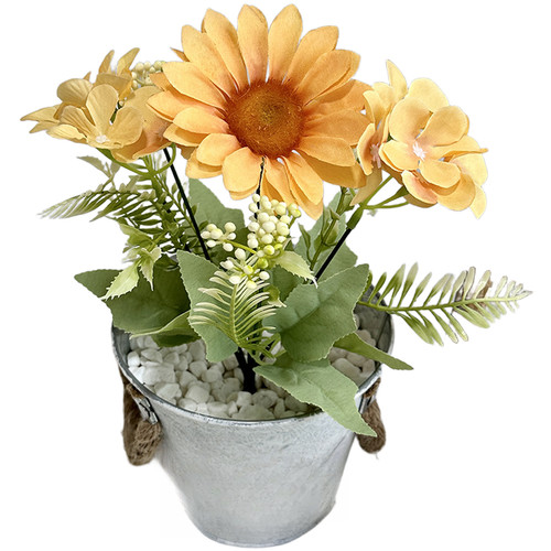 Aspetto naturale girasole - aspetto,