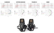 sE Electronics - SE4400a Microfono vintage a membrana grande multimodello con S