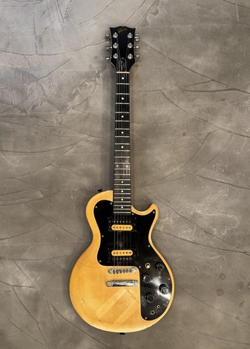 Gibson 1980 sonex - gibson,