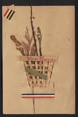 Cartolina fiori secchi - fiori,