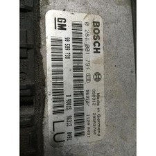 centralina pompa iniezione