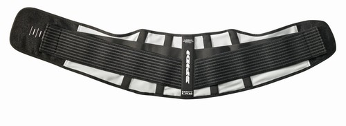 Fascia lombare spidi - fascia, lumbar