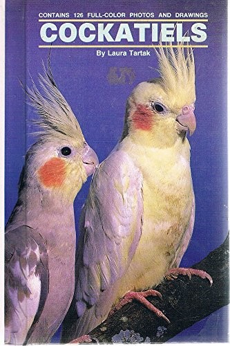 Cockatiels laura tartak - cockatiels,, m