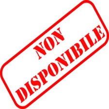 Bicicletta City Touring