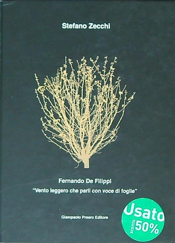 Fernando filippi vento - fernando,