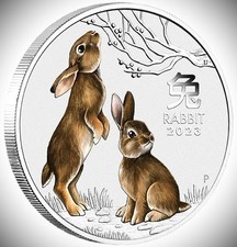 2 once d'argento anno del