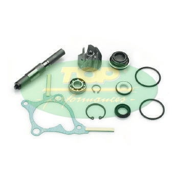Honda foresight 250 - 250, 4t