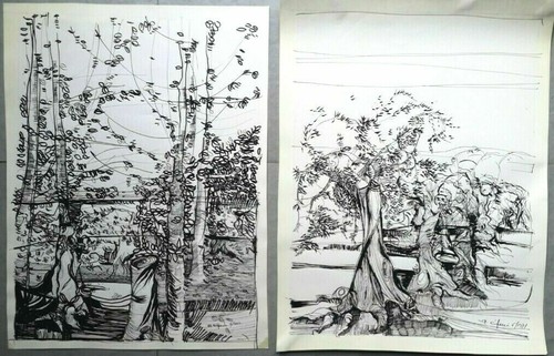 Alberi olive disegni a - di,