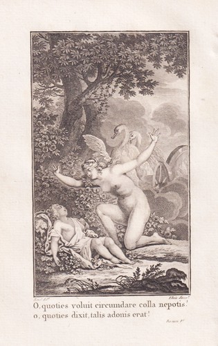 Venus und adonis erotica - venus,