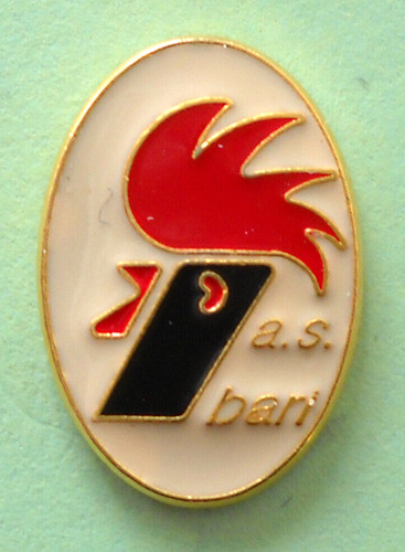 Distintivo spilla pin badge - distintivo,