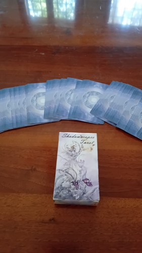 The shadowcapes tarot - shadowcapes,