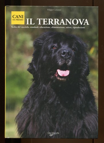Terranova vecchi - vecchi,