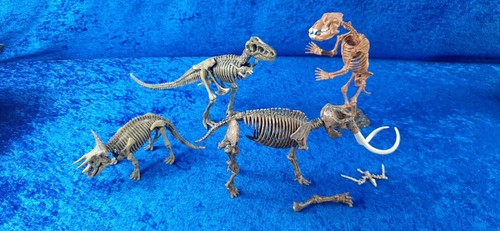 Dinosauri scheletro geoworld - dinosauri,
