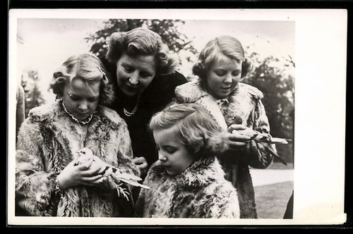 Cartolina soestdijk koningin - soestdijk,,