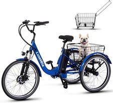 Triciclo Elettrico 24 in Fat Tire 500W E-bike e Batteria per Adulti 7 Velocità