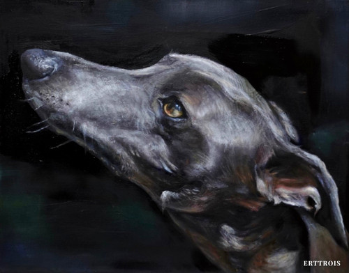 Whippet dog dipinto ad - -, olio