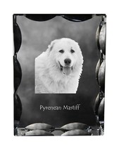 Mastino dei Pirenei cornice di cristallo con cane Art-Dog