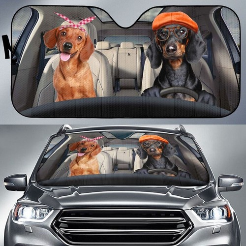 Parasole auto divertente - , guida