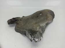 8t0399299d exhaust manifold - manifold, /