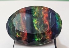 Splendida doppia Ammolite