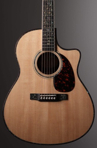 Larrivee deluxe custom - lv-10,