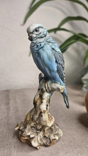 Statuina pappagallo budgie