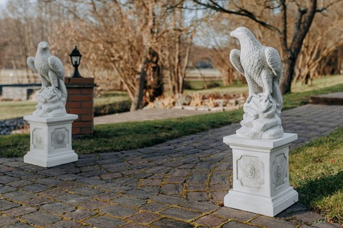 Set aquila reale - ,