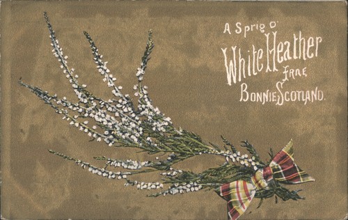 Fiori sprig white heather - fiori,