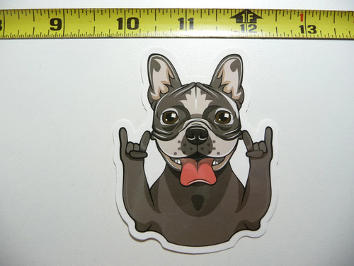 Bulldog francese piccolo - bulldog,
