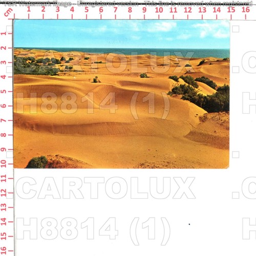 H8814 spagna isole canarie - spagna,