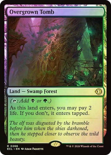 Magic the gathering mtg - the,