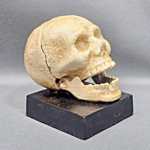 Fermalibri teschio - teschio, in
