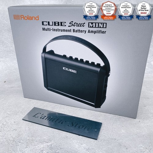 Roland cube street - street, mini