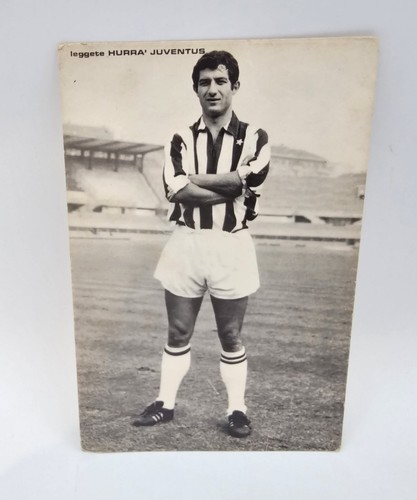 Cartolina favalli juventus - cartolina,